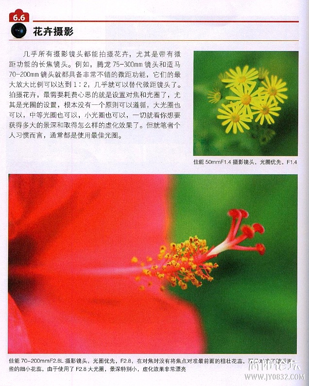数码单反摄影轻松入门0166.jpg