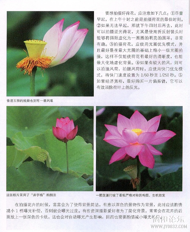 数码单反摄影轻松入门0169.jpg