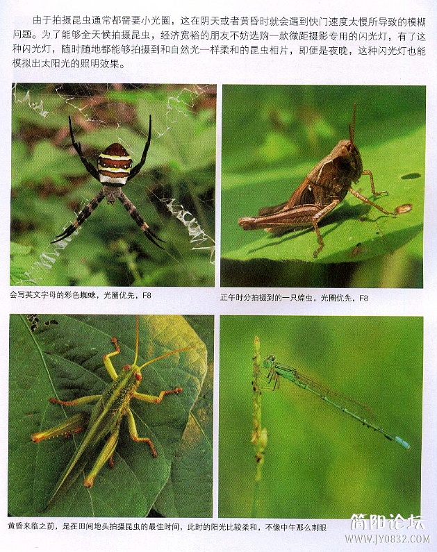 数码单反摄影轻松入门0171.jpg