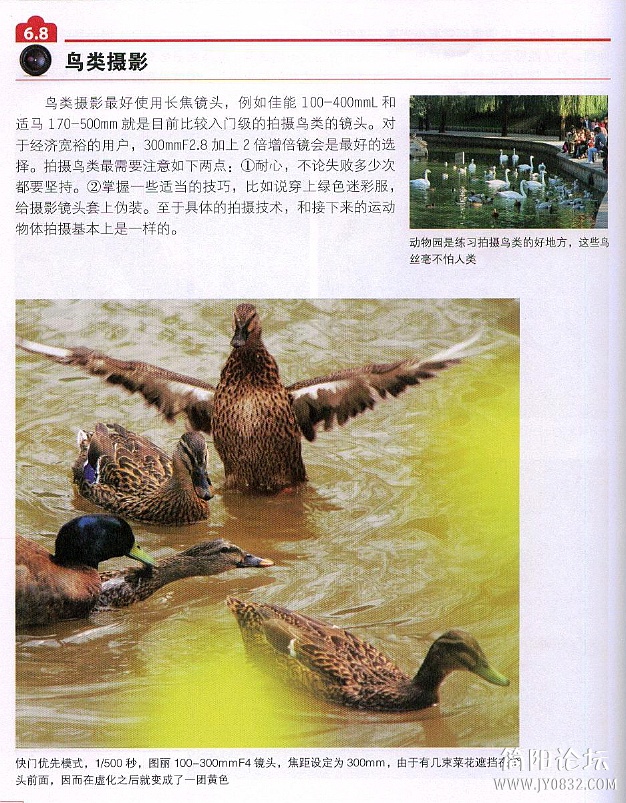 数码单反摄影轻松入门0172.jpg