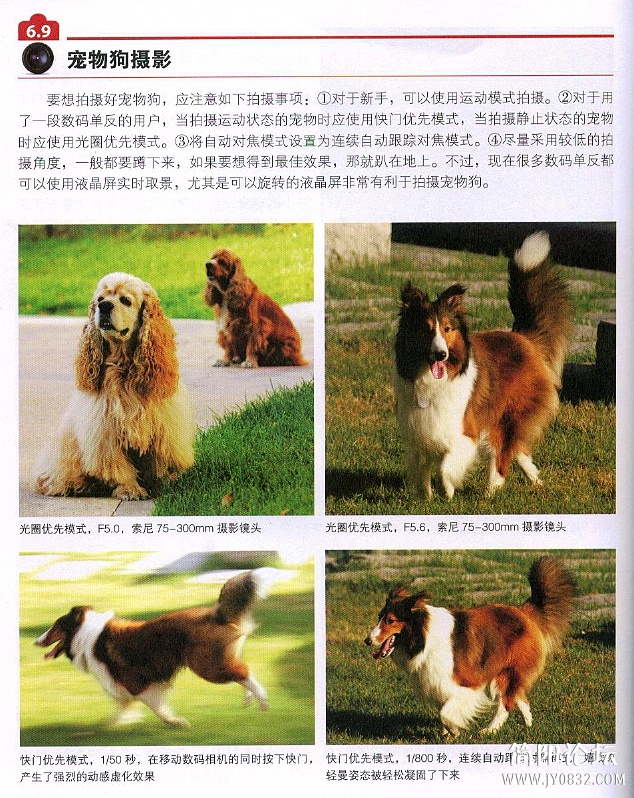 数码单反摄影轻松入门0174.jpg