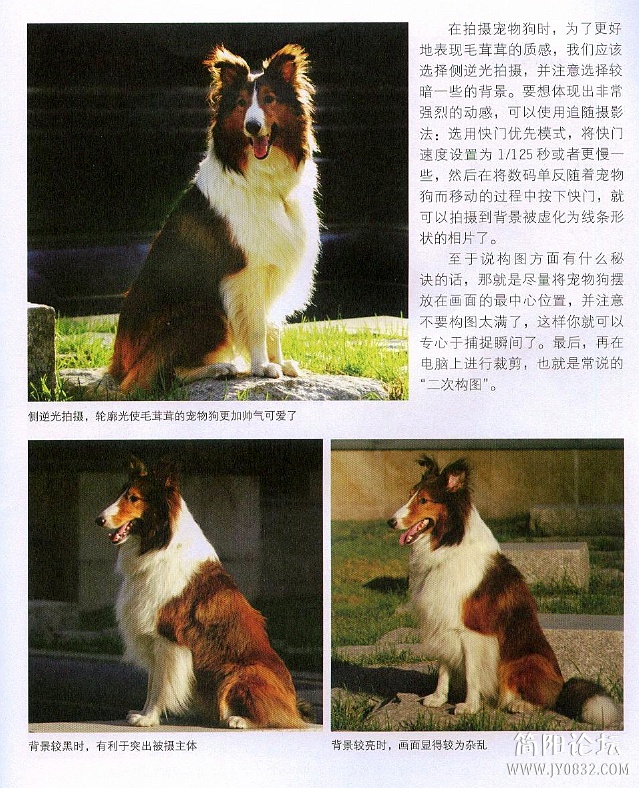 数码单反摄影轻松入门0175.jpg
