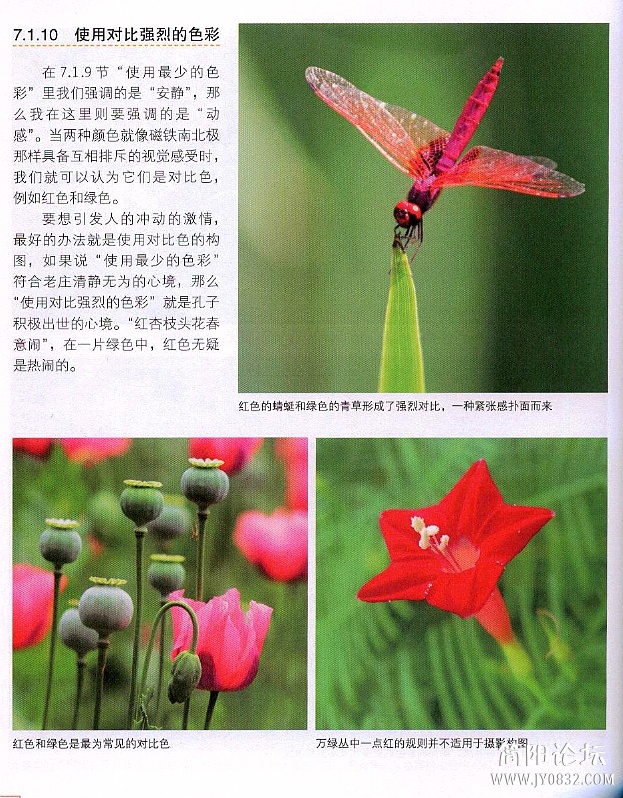 数码单反摄影轻松入门0188.jpg