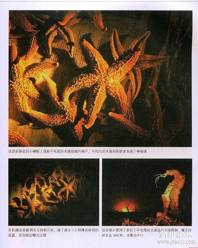 数码单反摄影轻松入门0191.jpg