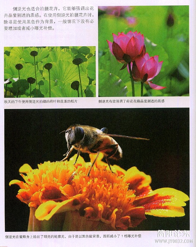 数码单反摄影轻松入门0194.jpg