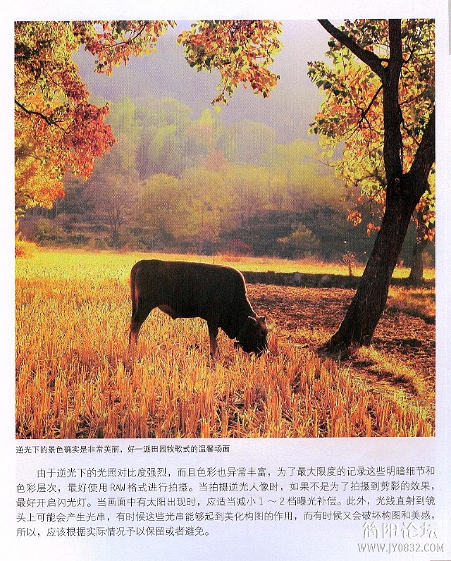 数码单反摄影轻松入门0197.jpg