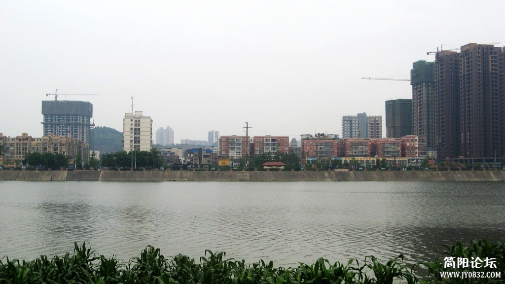 IMG_3582.JPG