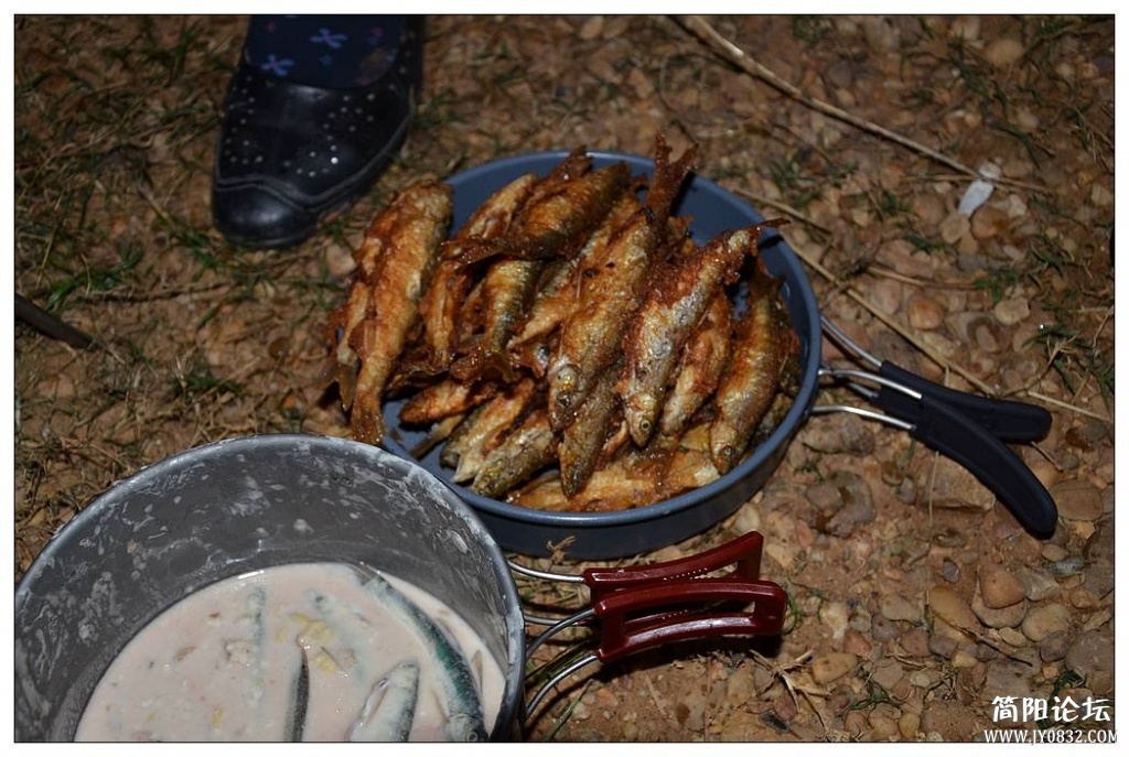 DSC_1954.JPG