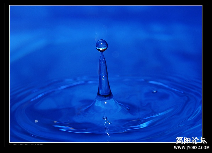 nEO_IMG_IMG_6623.jpg