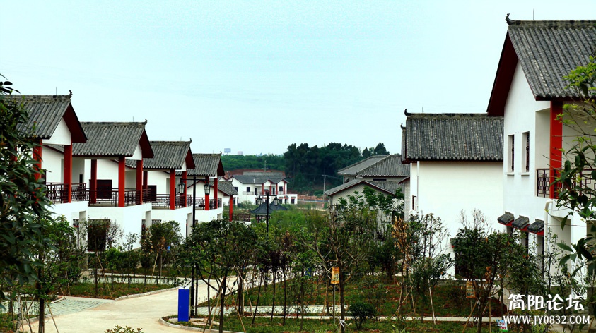 DSC02087 副本.jpg