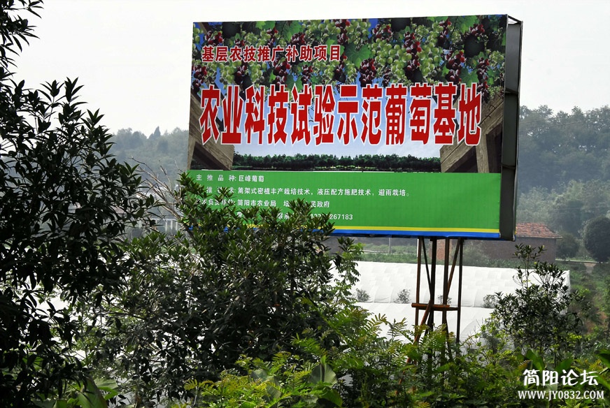_AA30099 0副本.jpg