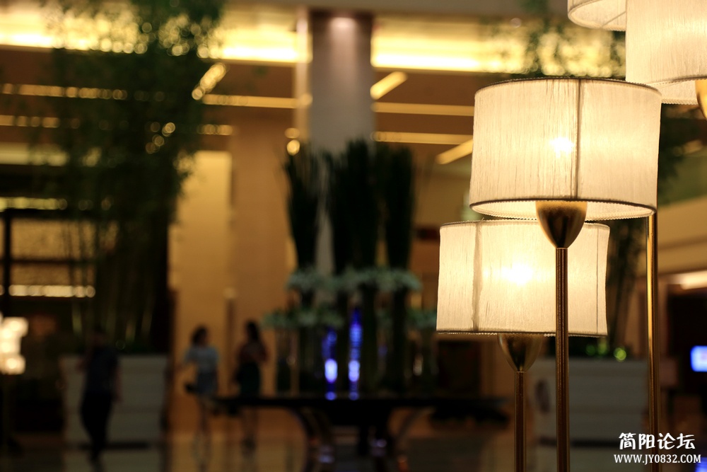 2P2A2548.jpg