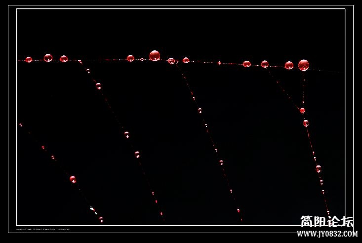nEO_IMG_IMG_7847a.jpg