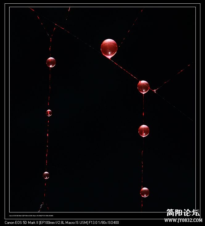 nEO_IMG_IMG_7841a.jpg