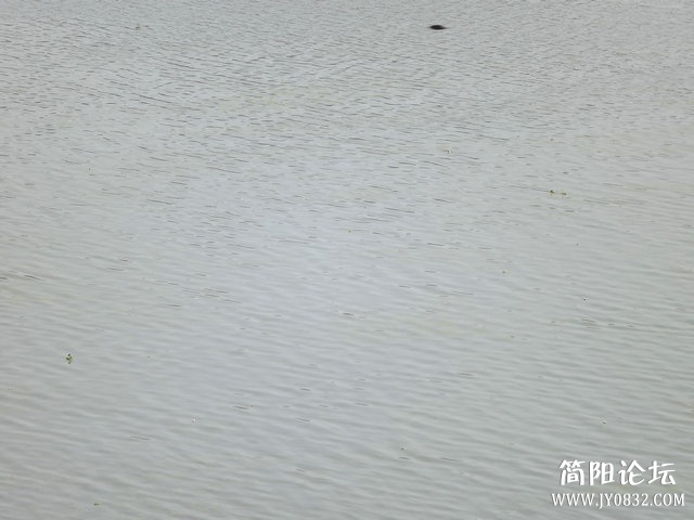DSCF8186.jpg