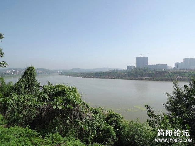 DSCF8178.jpg