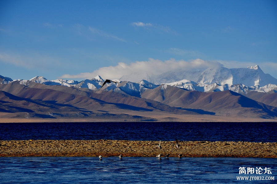 DSC_0519_副本.jpg