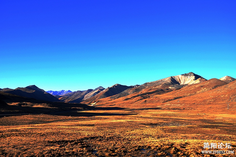DSC_04677777777_副本_副本.jpg