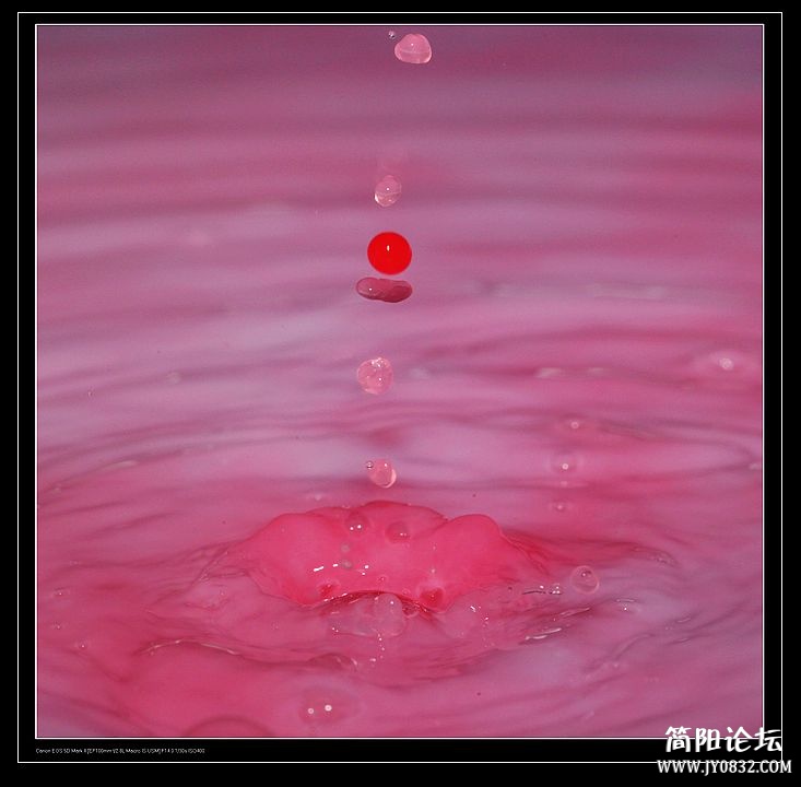 nEO_IMG_IMG_7766a.jpg