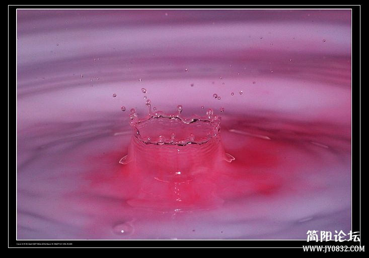 nEO_IMG_IMG_7728a.jpg