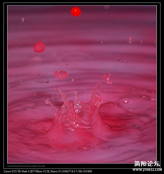 nEO_IMG_IMG_7763.jpg