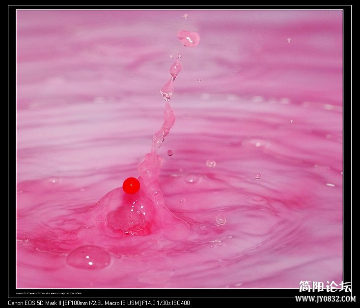 nEO_IMG_IMG_7765b.jpg