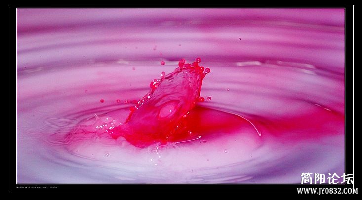 nEO_IMG_IMG_7715a.jpg