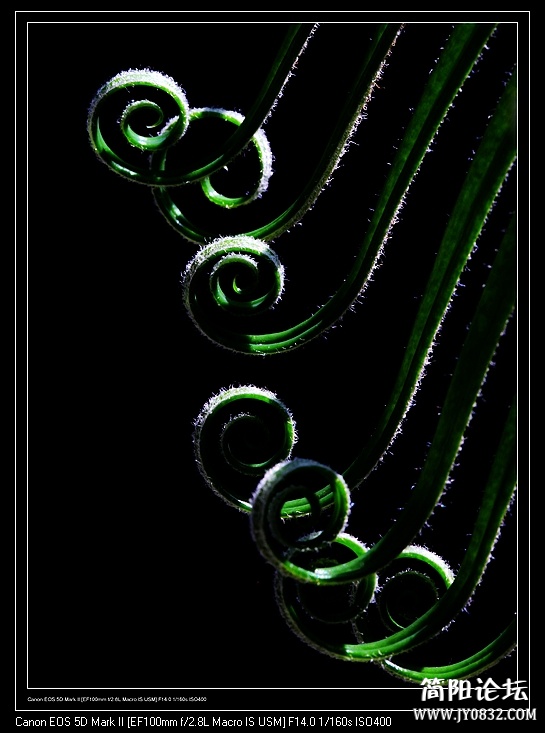 nEO_IMG_IMG_8112a.jpg