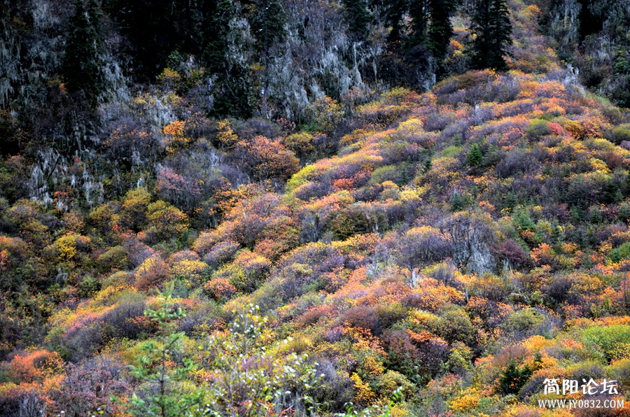 DSC_2630_副本.jpg