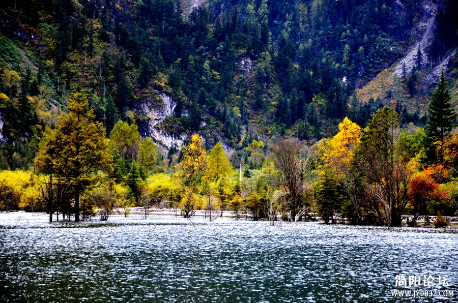 DSC_2671_副本.jpg
