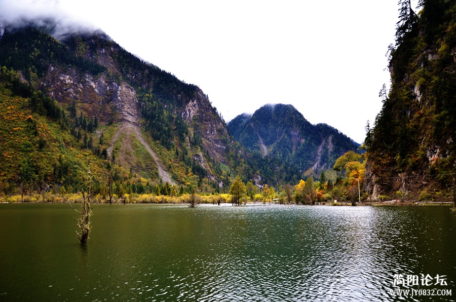 DSC_2658_副本.jpg