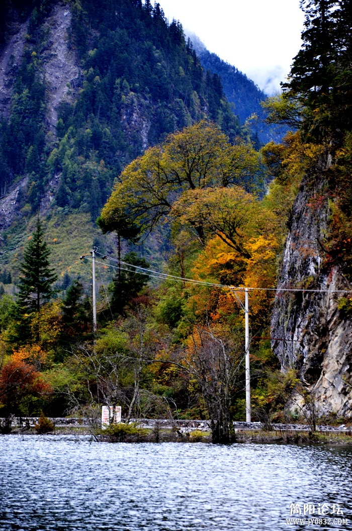 DSC_2700_副本_副本_副本.jpg