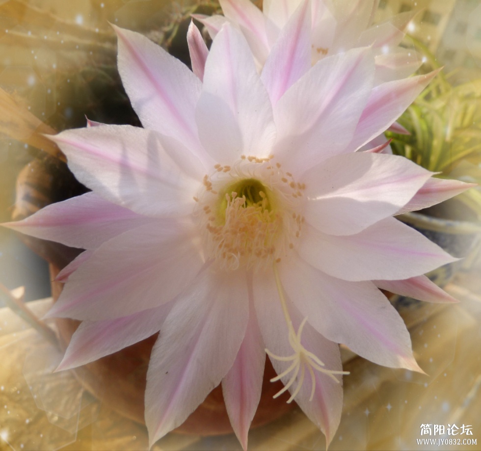 P1100722_副本.jpg