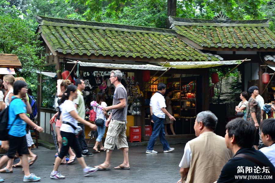 DSC_178511.jpg