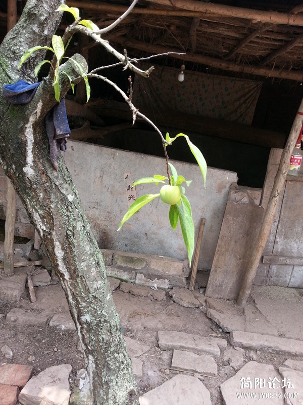 20130607_130423_副本.jpg