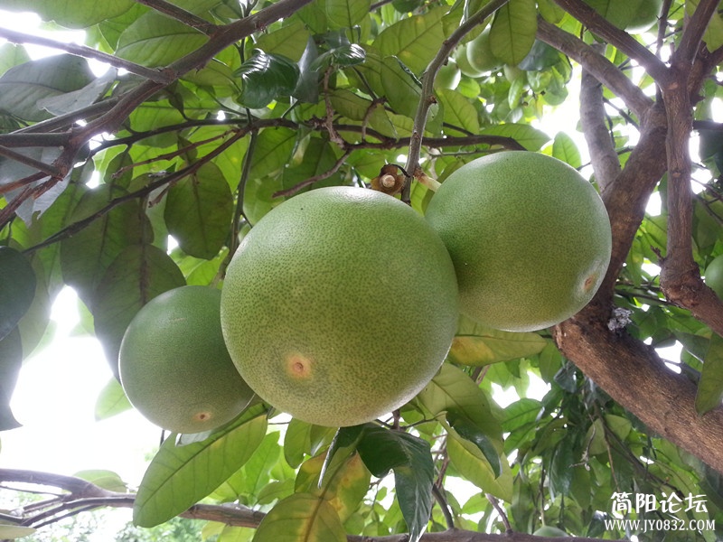20130607_130238_副本.jpg