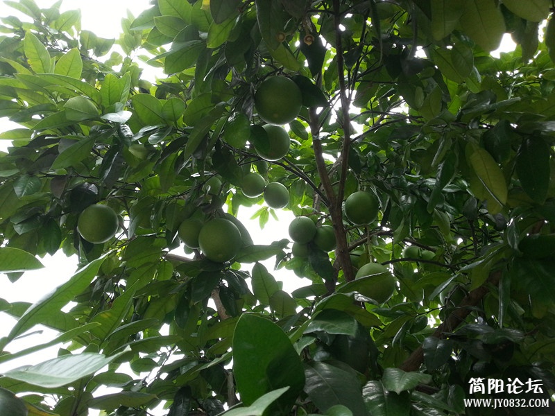 20130607_130248_副本.jpg