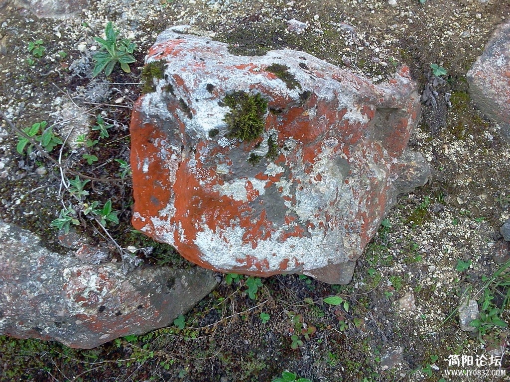 2013-06-04 15.03.11.jpg