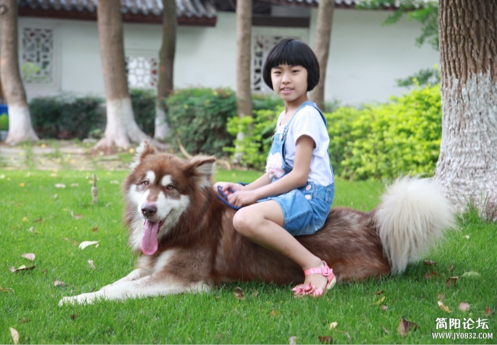 QQ图片20130520233003.jpg
