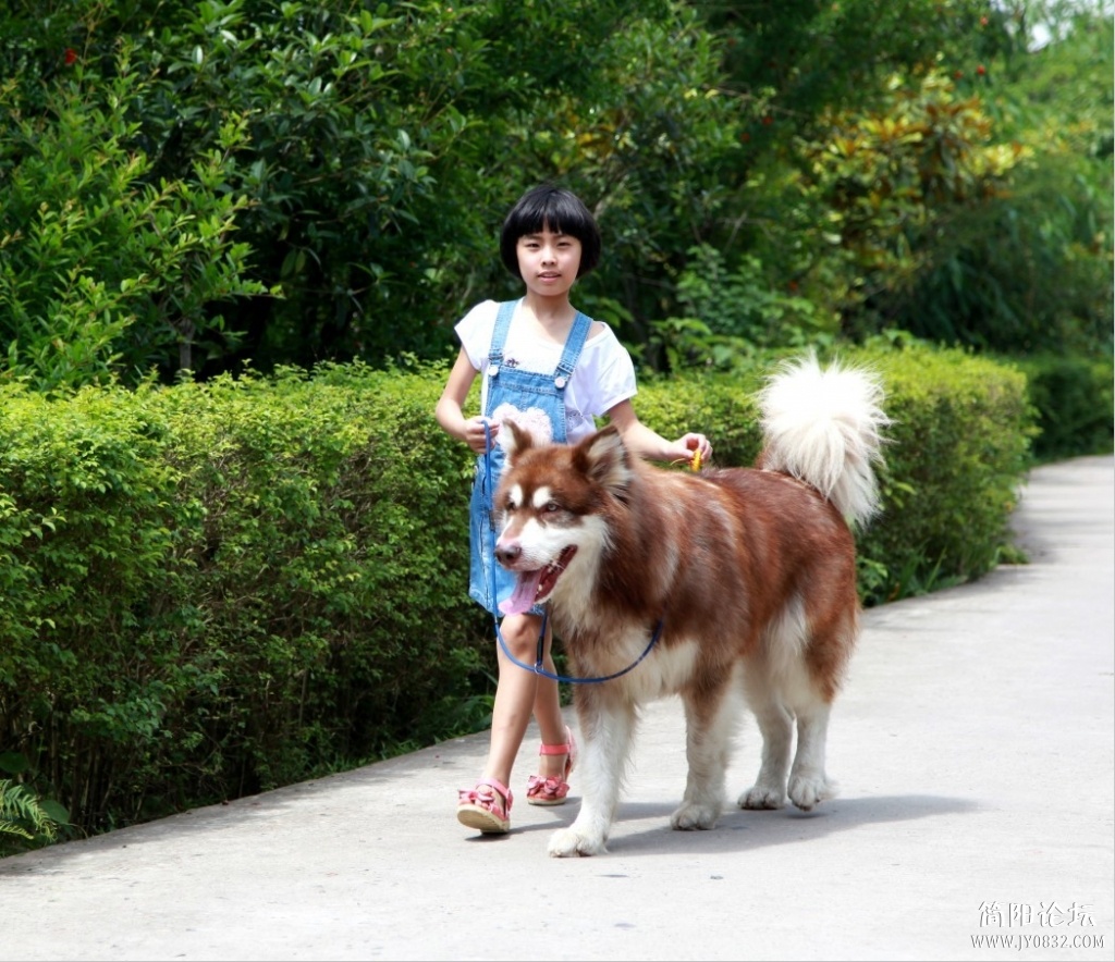 QQ图片20130520233529.jpg