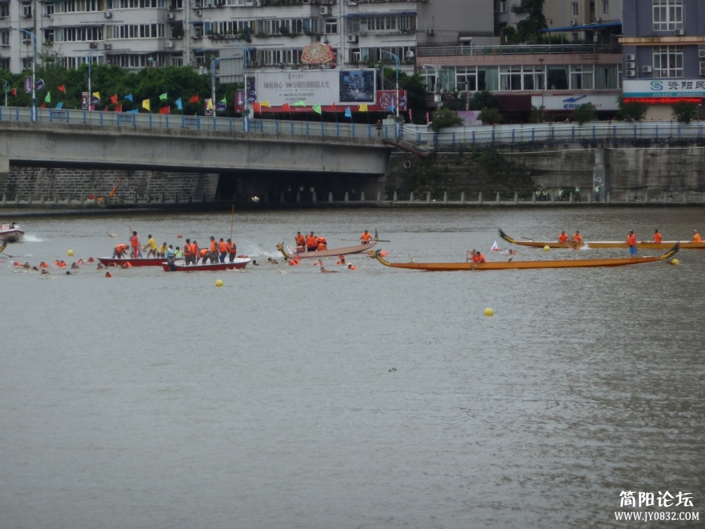P1100772.jpg