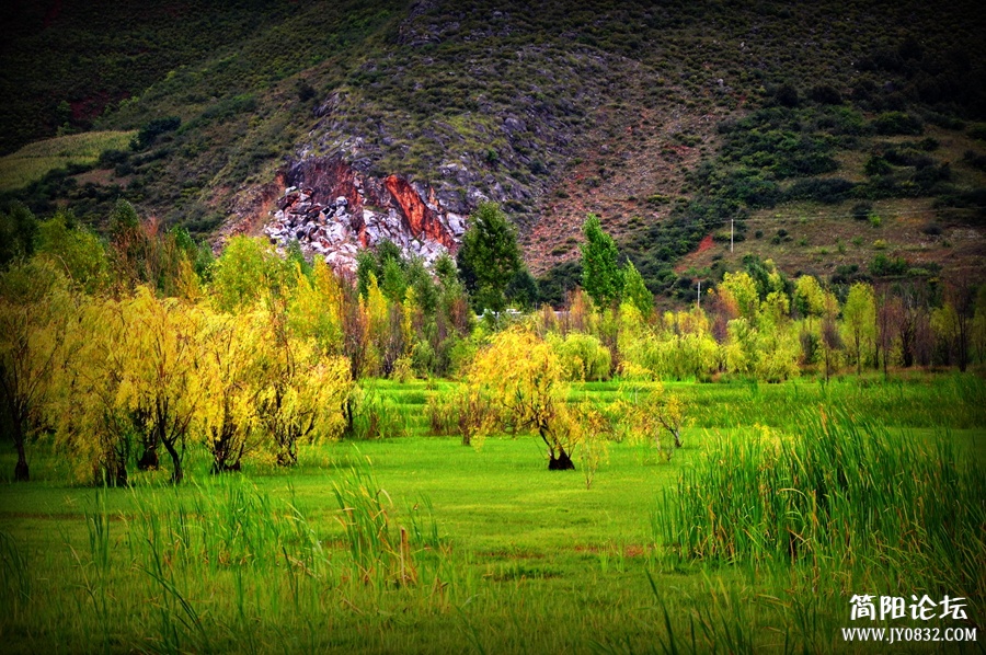 DSC_0793_副本_副本.jpg