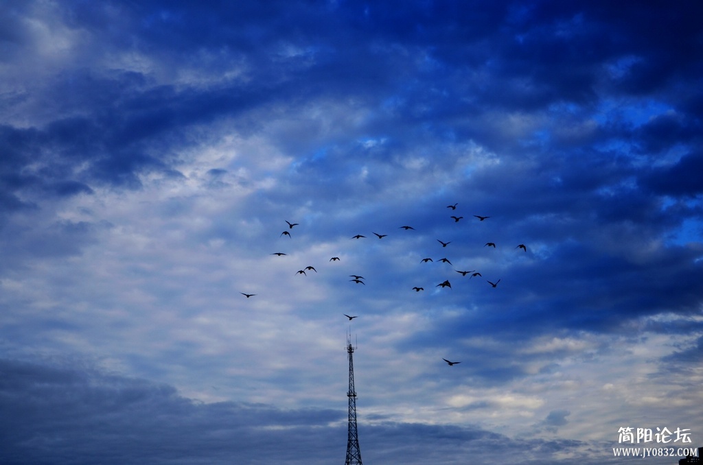 DSC_3960.jpg
