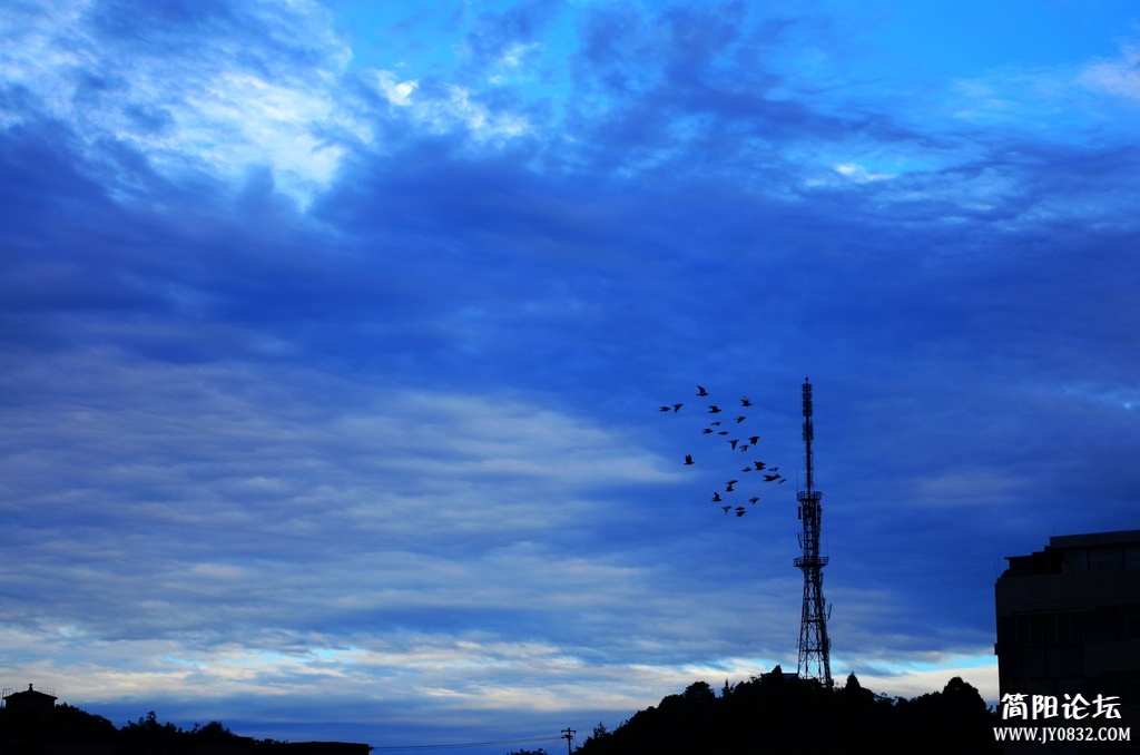 DSC_3955.jpg