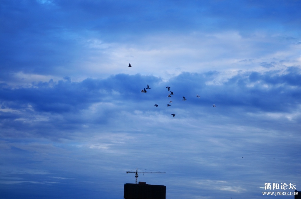 DSC_4041.jpg