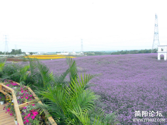 P1100836_副本.jpg