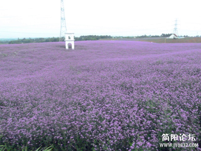 P1100837_副本.jpg