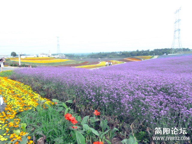 P1100846_副本.jpg