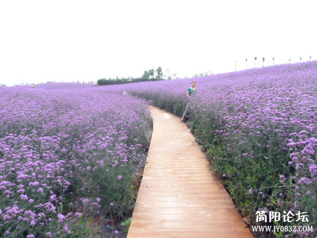 P1100848_副本.jpg