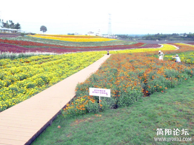 P1100868_副本.jpg